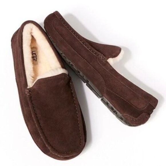 UGG Other - UGG Men's Ascot Slipper Shoe Slip-On Sheepskin Suede Indoor/Outdoor Espresso 8